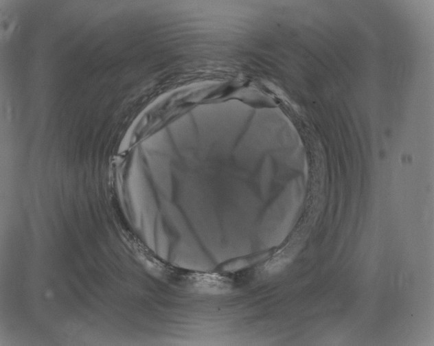 X0000081440528200702092228