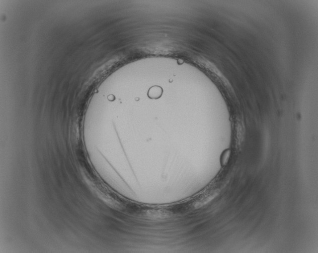 X0000081440541200702092227