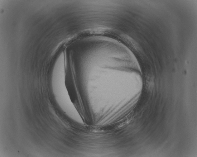 X0000081440543200702092227