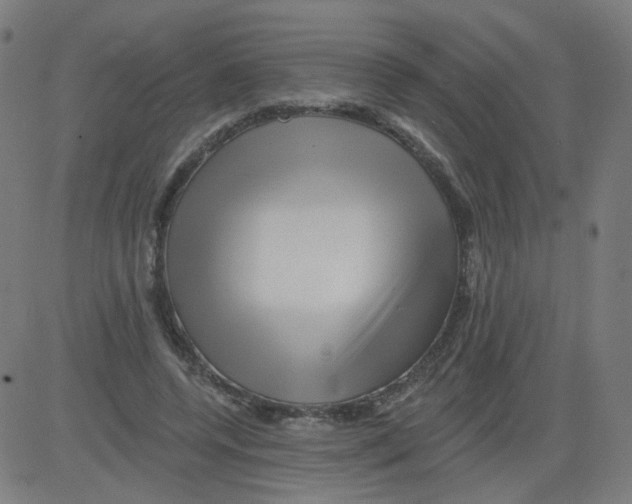 X0000081440544200702092227