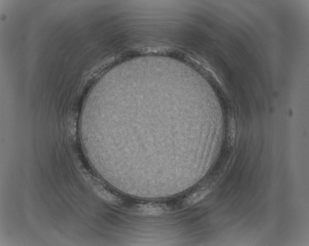 X0000081440545200702092227