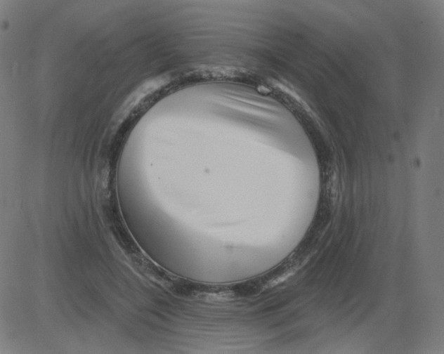 X0000081440548200702092227