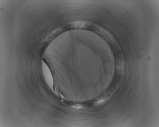 X0000081440551200702092227