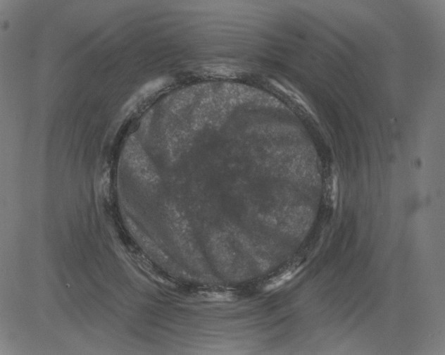 X0000081440552200702092227