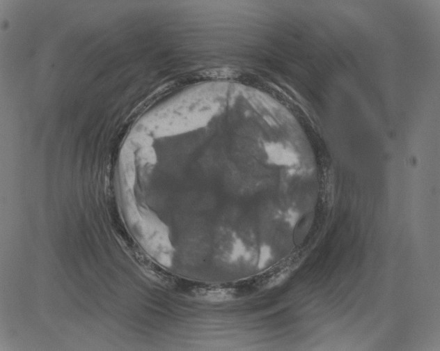 X0000081440553200702092227