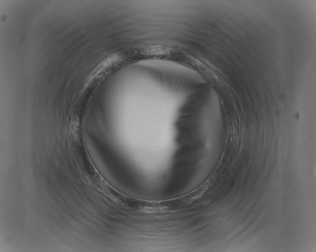 X0000081440556200702092227