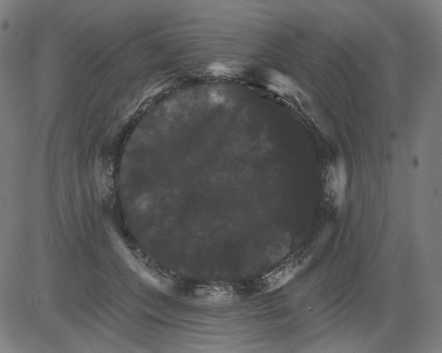X0000081440559200702092227