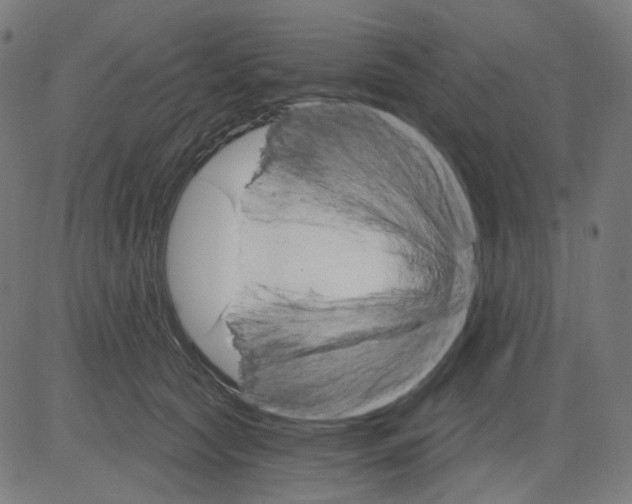 X0000081440561200702092227