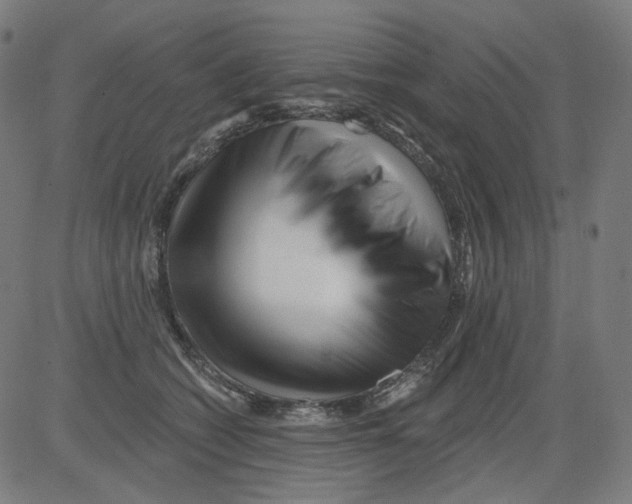 X0000081440562200702092227