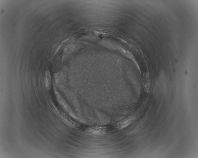 X0000081440563200702092227