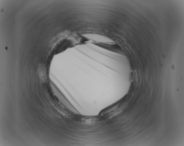 X0000081440564200702092227