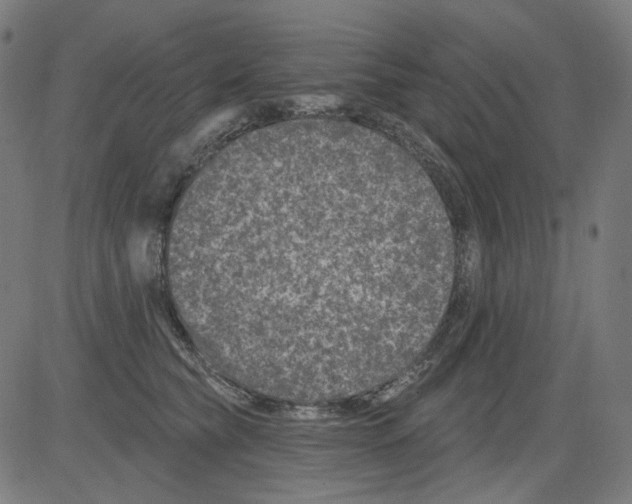 X0000081440565200702092227