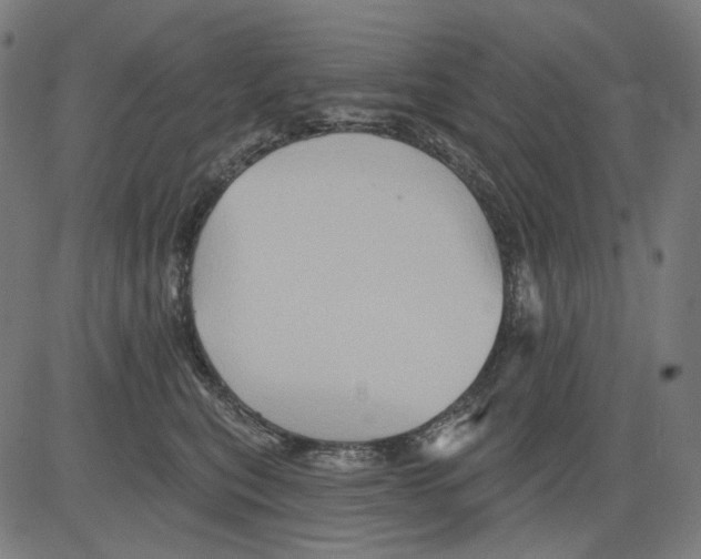 X0000081440567200702092227