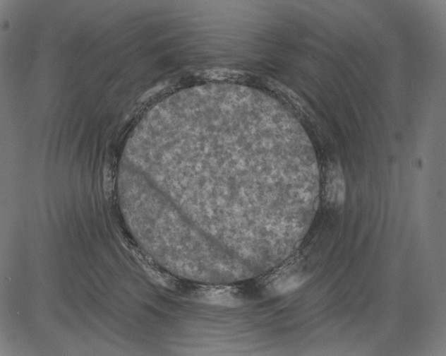 X0000081440569200702092227