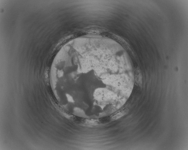 X0000081440573200702092228