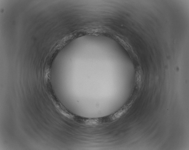 X0000081440574200702092228