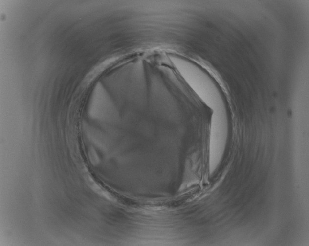 X0000081440577200702092227