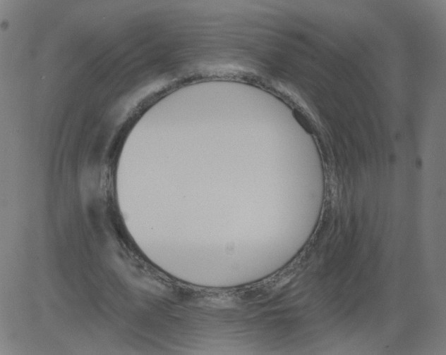 X0000081440583200702092227