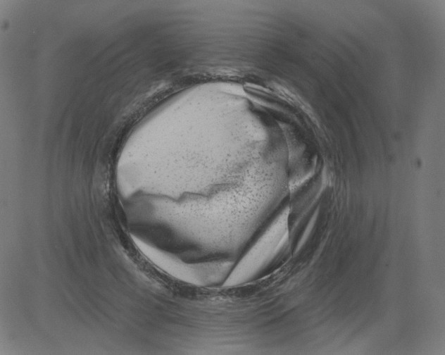 X0000081440593200702092227