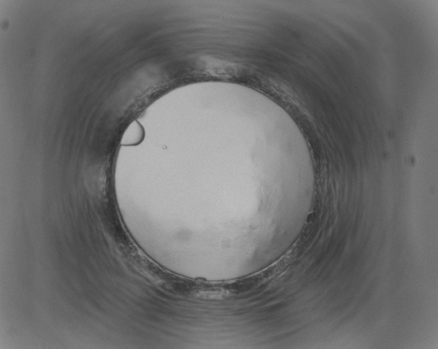 X0000081440595200702092227