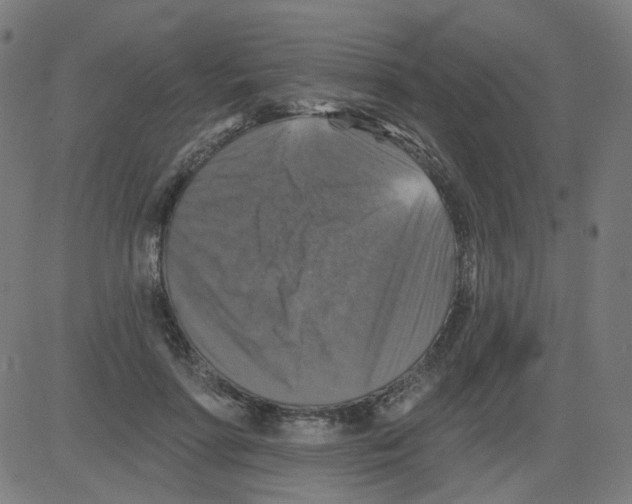 X0000081440598200702092226