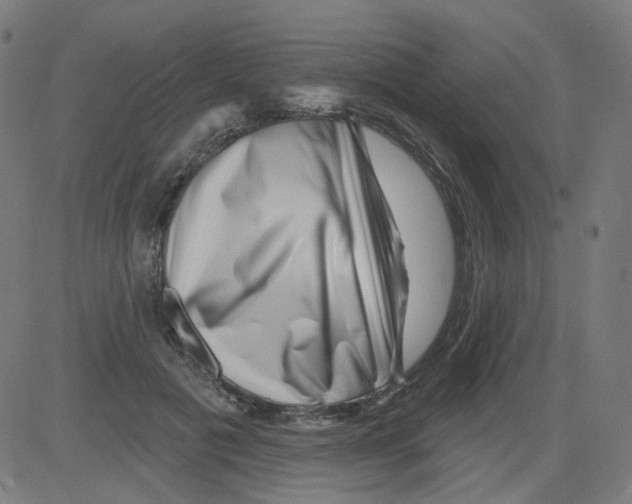 X0000081440601200702092226
