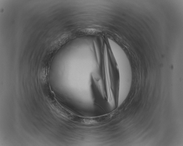X0000081440605200702092226