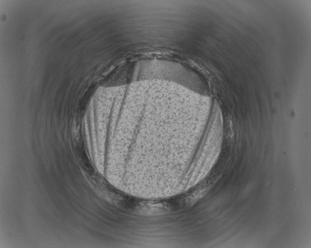 X0000081440607200702092226
