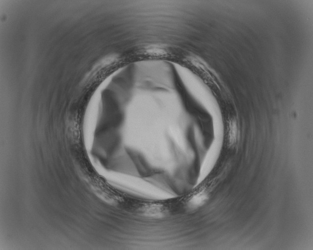 X0000081440609200702092226