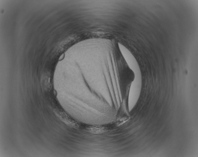 X0000081440615200702092226