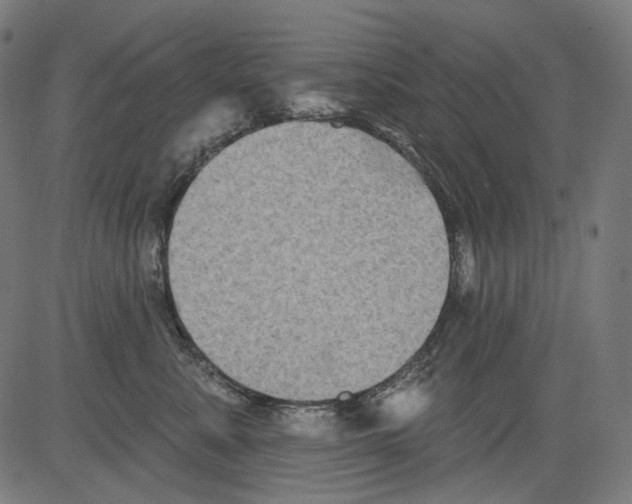 X0000081440619200702092226