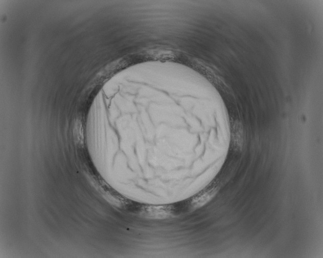 X0000081440622200702092226