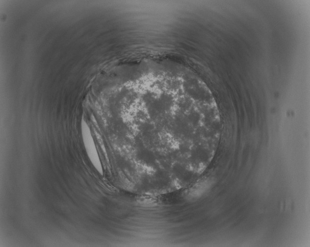 X0000081440624200702092226