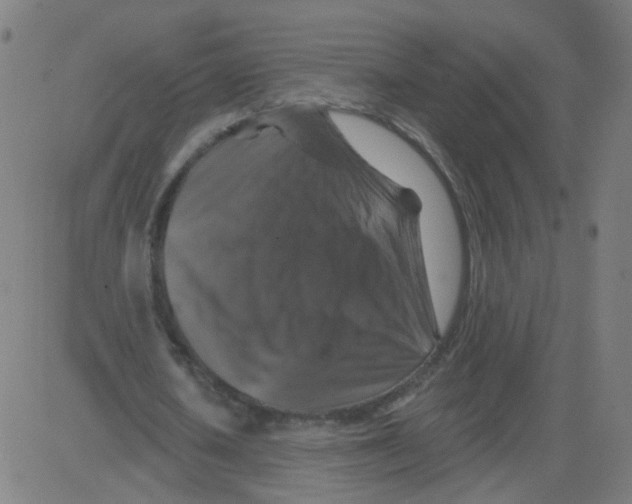 X0000081440626200702092225