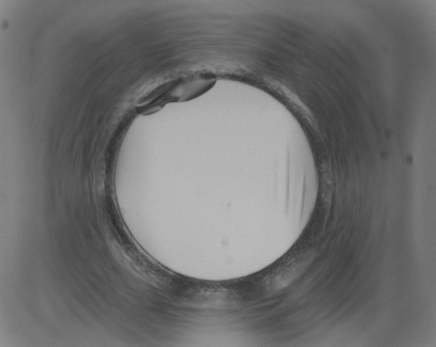 X0000081440631200702092225