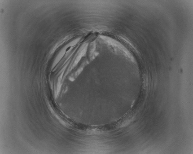 X0000081440634200702092225