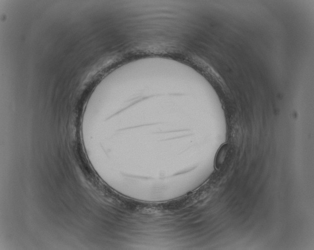 X0000081440635200702092225
