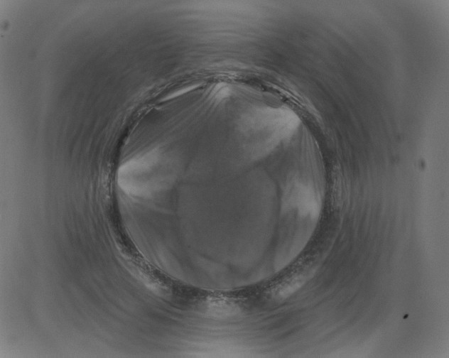 X0000081440641200702092226