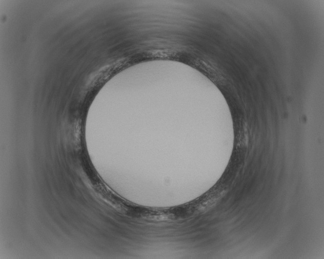 X0000081440646200702092226