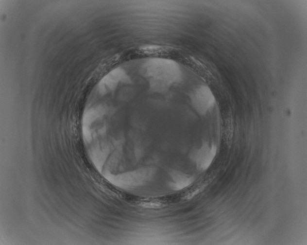 X0000081440653200702092226