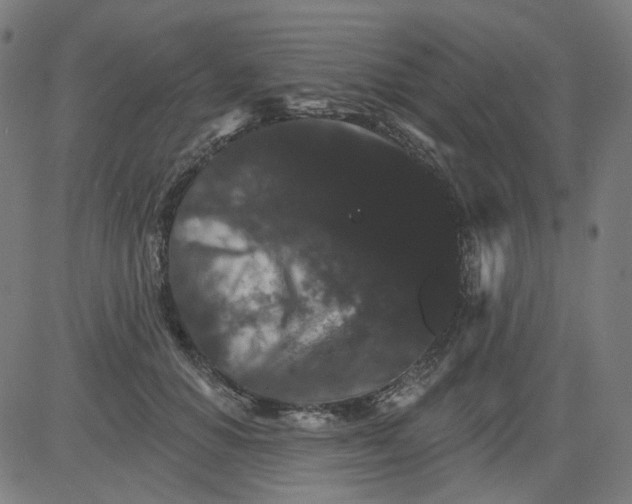 X0000081440654200702092226