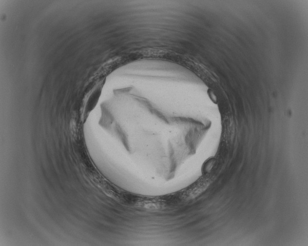 X0000081440655200702092226