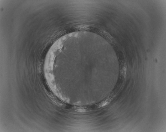 X0000081440658200702092226