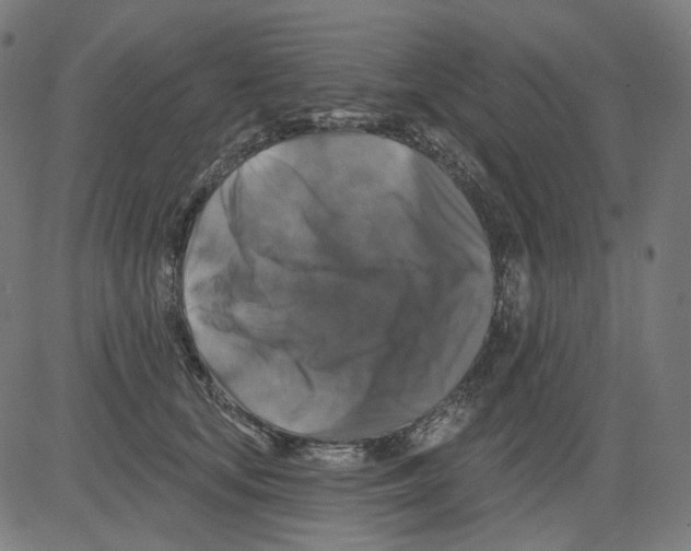 X0000081440659200702092226