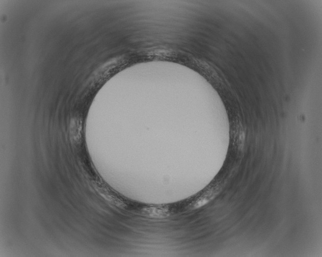 X0000081440660200702092226