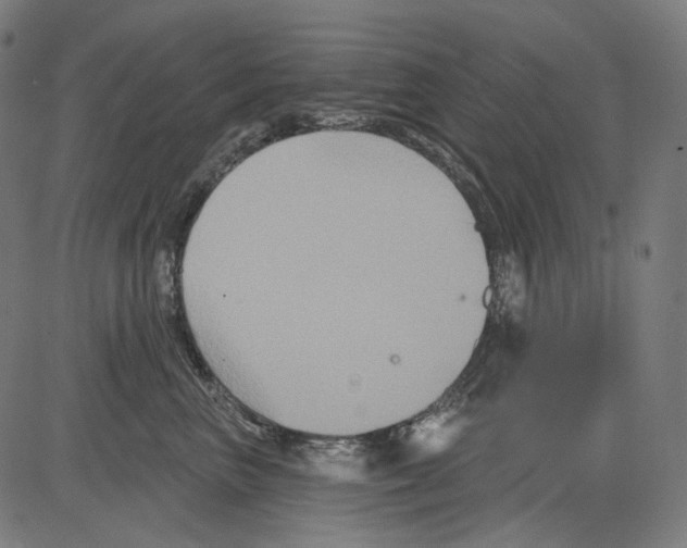 X0000081440667200702092226