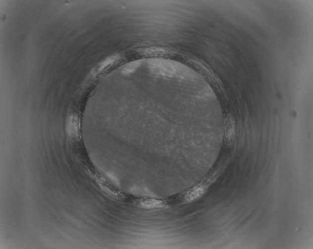 X0000081440669200702092226