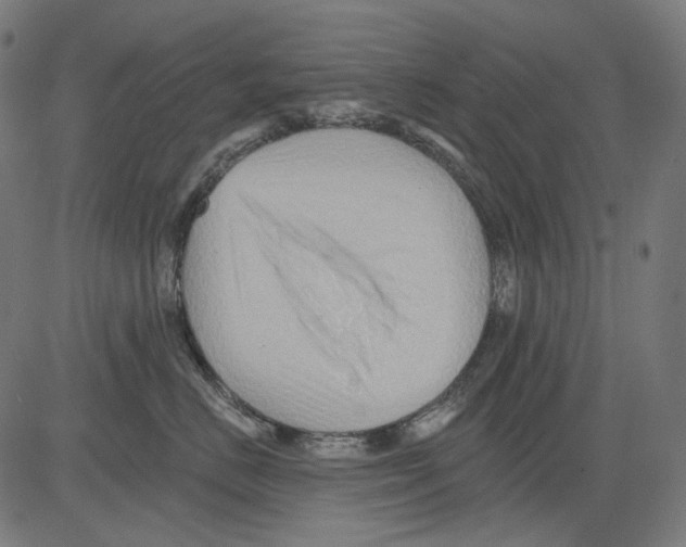 X0000081440670200702092226