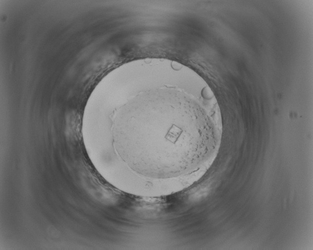 X0000081440672200702092226
