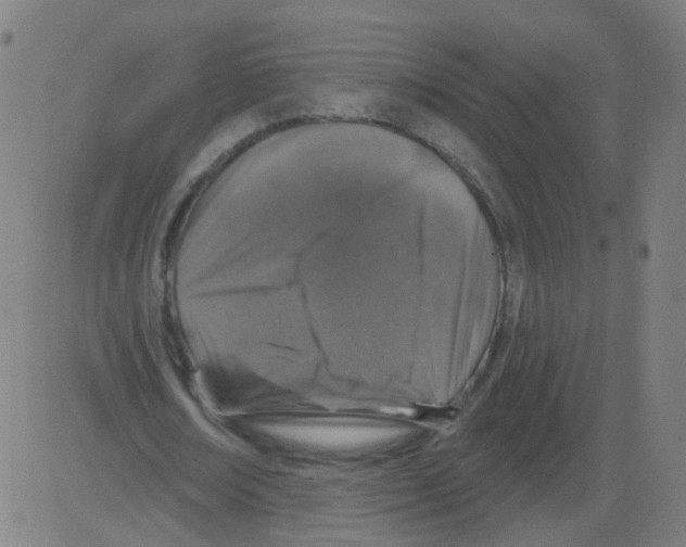 X0000081440674200702092225